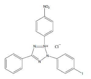 Molecular Formula: Iodonitro Tetrazolium (INT) / 146-68-9