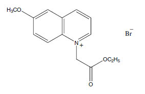 Molecular Formula: MQAE / 162558-52-3