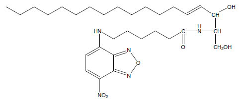 Molecular Formula: NBD C<sub>6</sub>-Ceramide / 86701-10-2