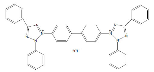Molecular Formula: Neotetrazolium (NT) / 298-95-3