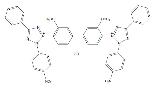 Molecular Formula: Nitro Blue Tetrazolium (NBT) / 298-83-9