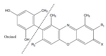 Molecular Formula: Orcein / 1400-62-0