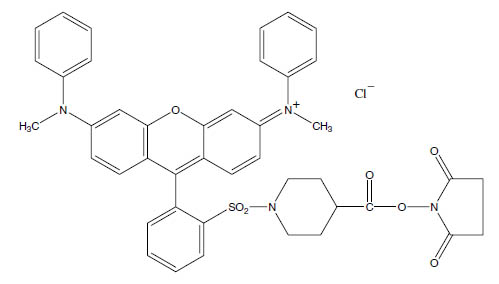 Molecular Formula: QSY 7 Carboxylic Acid, Succinimidyl Ester / 304014-12-8