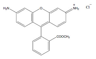 Molecular Formula: Rhodamine 123 / 62669-70-9
