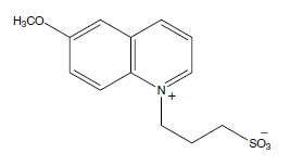 Molecular Formula: SPQ / 83907-40-8