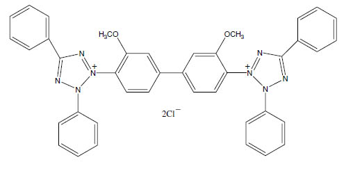 Molecular Formula: Blue Tetrazolium (BT) / 1871-22-3