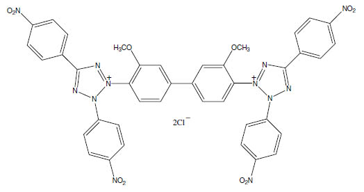 Molecular Formula: Tetranitro Blue Tetrazolium (TNBT) / 1184-43-6
