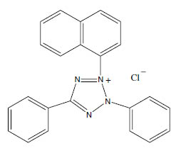 Molecular Formula: Tetrazolium Violet (TV) / 1719-71-7