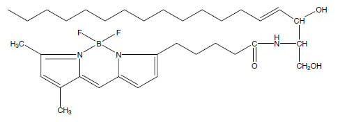 Molecular Formula: Bodipy FL C<sub>5</sub>-Ceramide / 133867-53-5