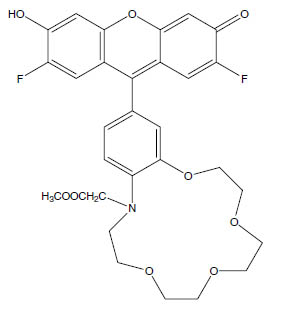 Molecular Formula: CoroNa Green / 690993-66-9