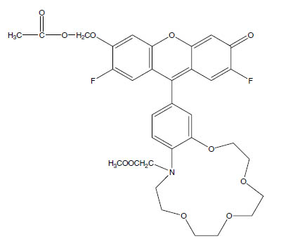 Molecular Formula: CoroNa Green AM / 690993-67-0