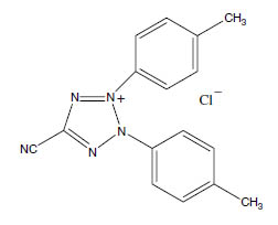 Molecular Formula: Cyanotolyl Tetrazolium Chloride (CTC) / 90217-02-0