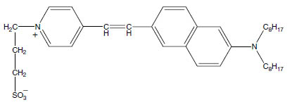 Molecular Formula: Di-8-ANEPPS / 157134-53-7