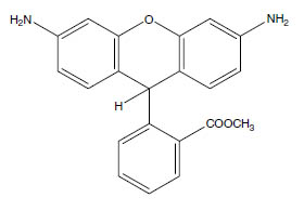 Molecular Formula: Dihydrorhodamine 123 / 109244-58-8