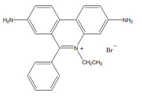 Molecular Formula: Ethidium Bromide / 1239-45-8