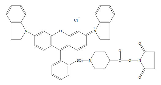 Molecular Formula: QSY 21 Carboxylic Acid, Succinimidyl Ester / 304014-13-9