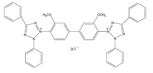 Molecular Formula: Blue Tetrazolium (BT) / 1871-22-3