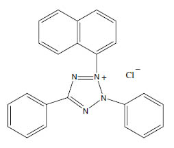 Molecular Formula: Tetrazolium Violet (TV) / 1719-71-7