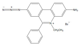 Molecular Formula: Ethidium Monoazide (EMA) / 58880-05-0